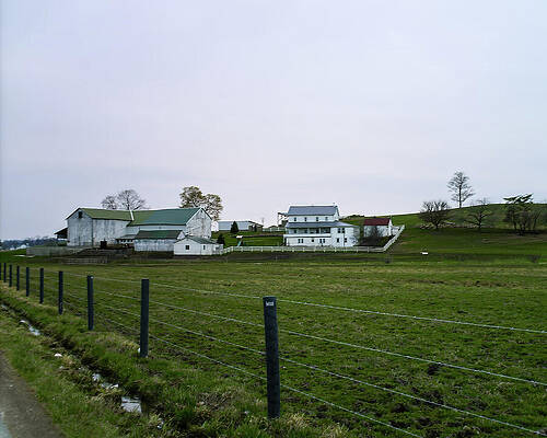 Wall Art featuring the photograph Amish Farm In Ohio by Flees Photos