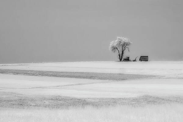 Country Photograph - Amish Farmland IR II by Susan Candelario