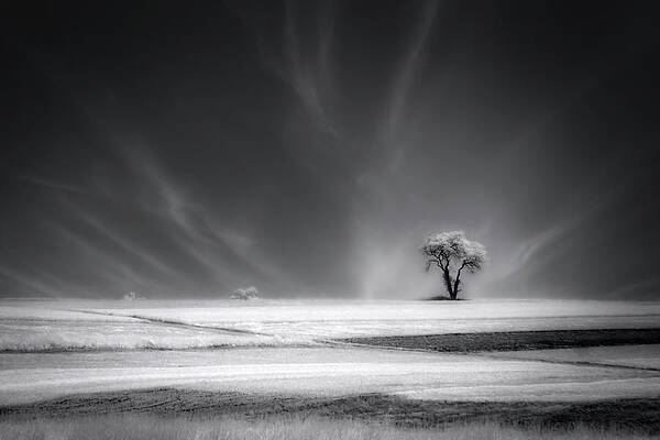 Pennsylvania Photograph - Amish Farmland IR by Susan Candelario