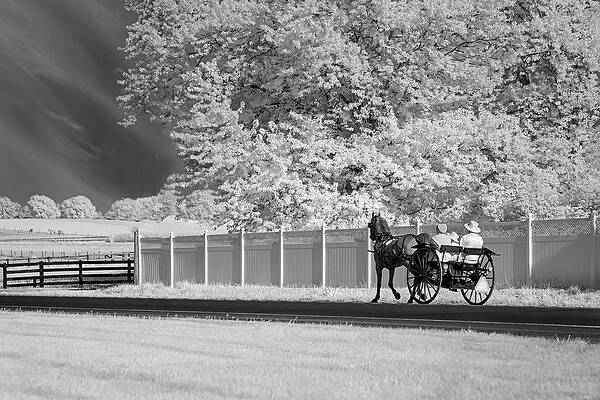 Pennsylvania Photograph - Amish Stroll Lancaster Pennsylvania by Susan Candelario
