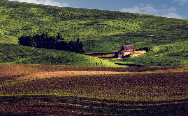 Rolling Hills and Rustic Barn Wall Art