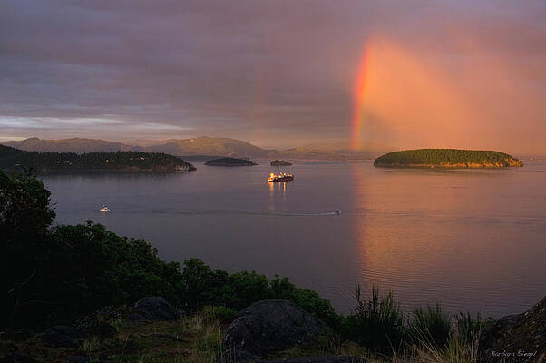 Wall Art featuring the photograph Anacortes Rainbow by Barbara Siegel