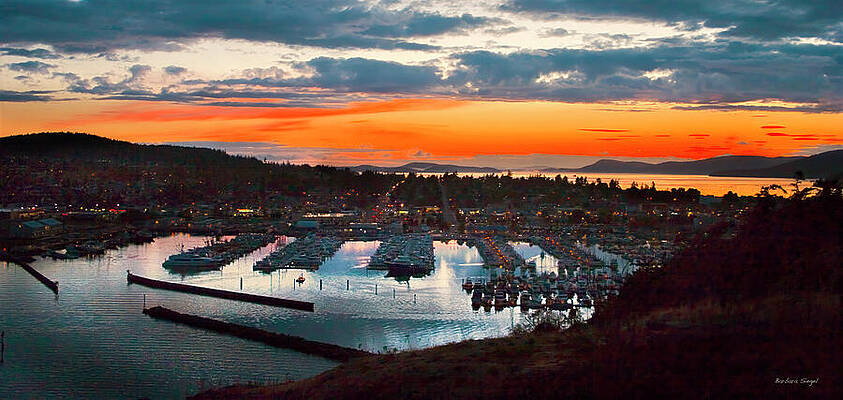 Vibrant Marina Sunset Wall Art