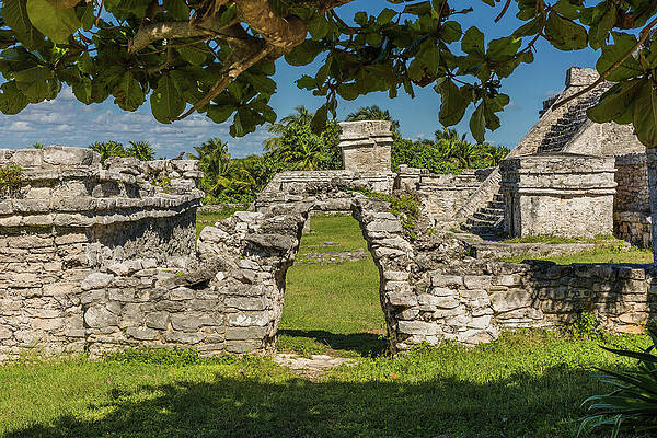 Greenery Photograph - Ancient Archway by Nova Rae