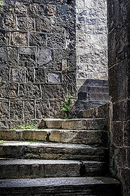 Ancient Stone Stairway Wall Art