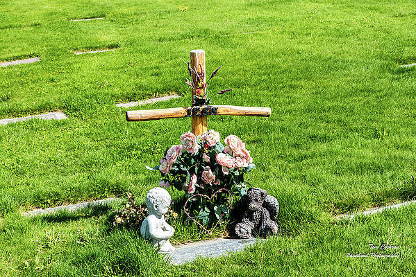 May Photograph - Angel Bear by Tom Cochran