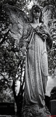 Wall Art featuring the photograph Angel Standing Watch New Braunfels, Texas by Rene Vasquez