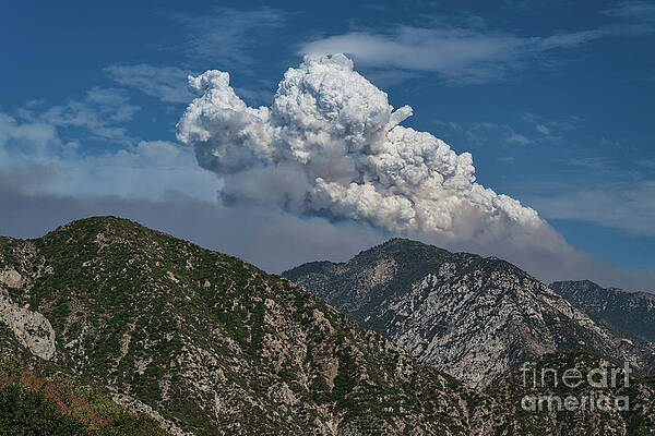 Outdoors Wall Art featuring the photograph Angeles National Forest, California by Abigail Diane Photography