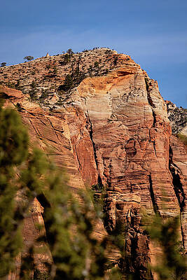 Desert Photograph - Angels Landing From The Kayenta Trail by Craig A Walker