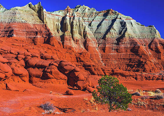 Park Photograph - Angels Palace, Kodachrome Basin - Utah by Abbie Warnock