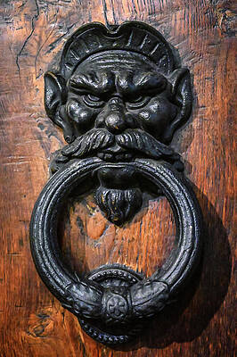 Wall Art featuring the photograph Angry Knocker by Steven Nelson