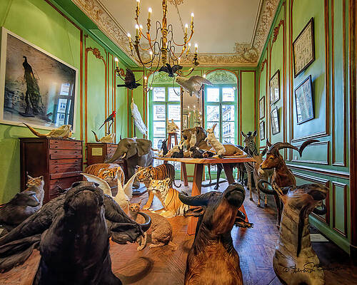 Wildlife Wall Art featuring the photograph Animal Shop by Steven Dos Remedios