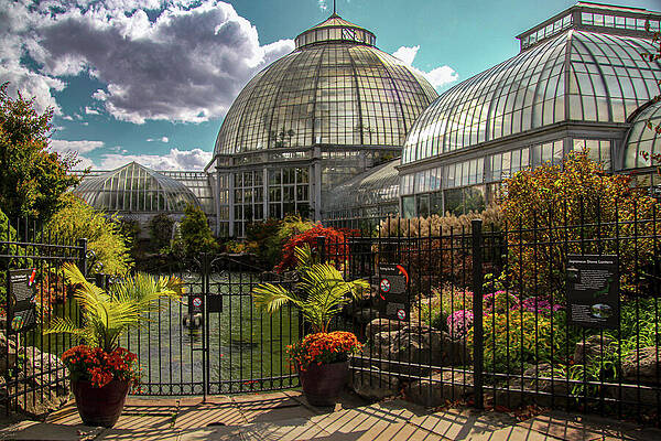 Flower Photograph - Anna Scripps Whitcomb Conservatory by Deb Beausoleil