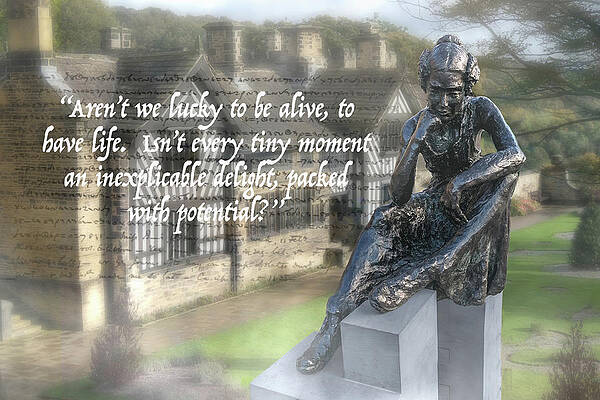 Abstract Wall Art featuring the photograph Anne Lister Arent We Lucky by Sue Leonard