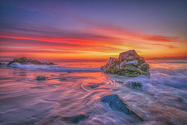 Wall Art featuring the photograph Another Beautiful Morning by Penny Polakoff