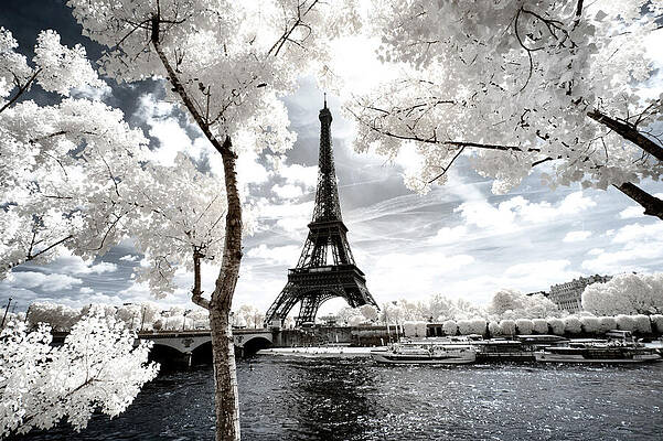 Collection Wall Art featuring the photograph Another Look - Paris by Philippe HUGONNARD