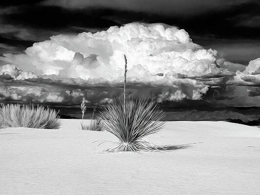 New Mexico Photograph - Another Odd Day In The Desert by Joe Schofield