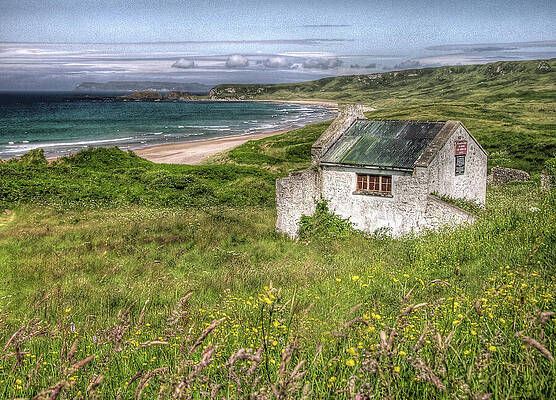 Ireland Photograph - Windswept Antrim by Randall Dill