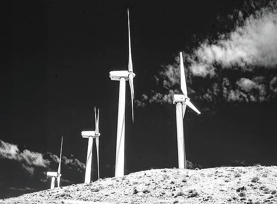 Wall Art featuring the photograph Any Way The Wind Blows by Joe Schofield
