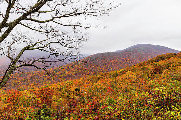 Mountain Photograph - Appalachian Autumn Fog by David Fountain