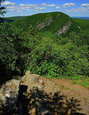 Wall Art featuring the photograph Appalachian Trail Blaze And Mount Tammany 2 by Raymond Salani III