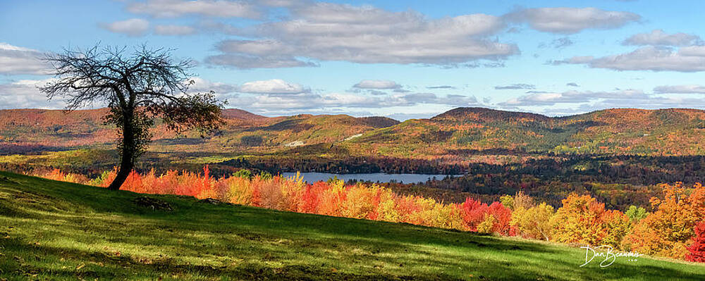 Mountain Photograph - Apple Tree And Forest Lake #3739 by Dan Beauvais