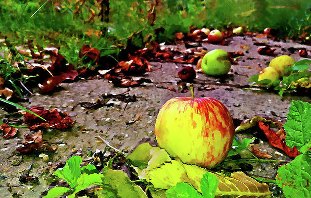 Nature Digital Art - Apples And Brown Leaves - Autumn Still Life Painting by Nicko Prints