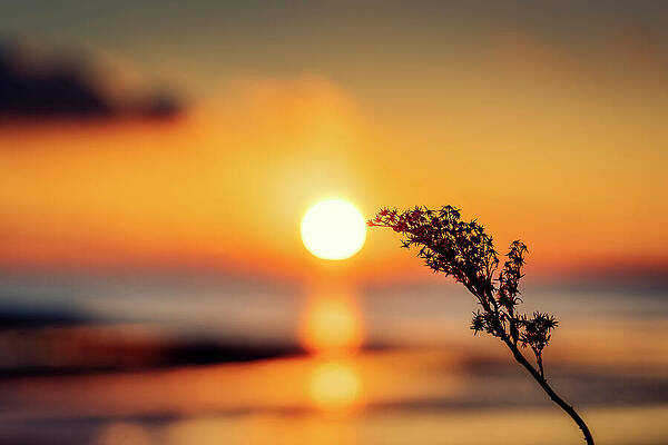 Sky Wall Art featuring the photograph Approach by Rich Kovach