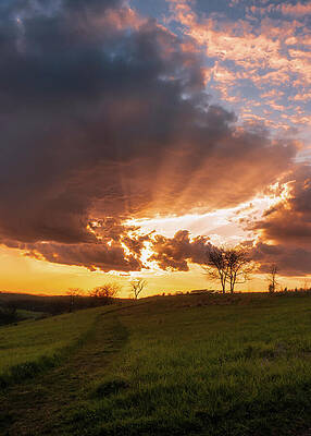 Sunrise Wall Art featuring the photograph April Sunrays Trexler Nature Preserve by Jason Fink