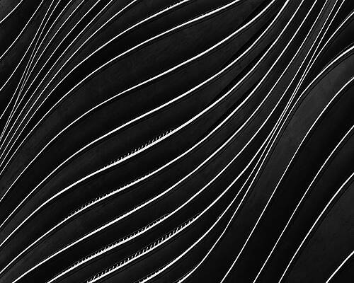 Architecture Wall Art featuring the photograph Aqua Lines by Elvira Peretsman