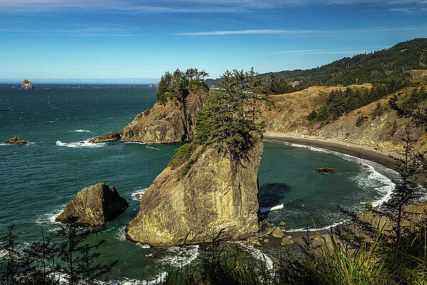 Oregon Photograph - Aqua Oasis by Tim Lyden