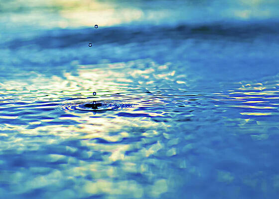 Serene Wall Art featuring the painting Aquamarine by Laura Fasulo