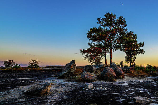 Vibrant Photograph - Arabia Mountain Landscape After Dark by Anthony Hightower