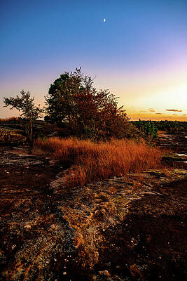 Vibrant Photograph - Arabia Mountain Moon And Sunset by Anthony Hightower