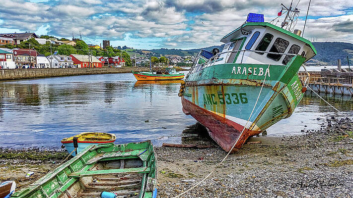 Docked Fishing Boats and Scenic Harbor Wall Art
