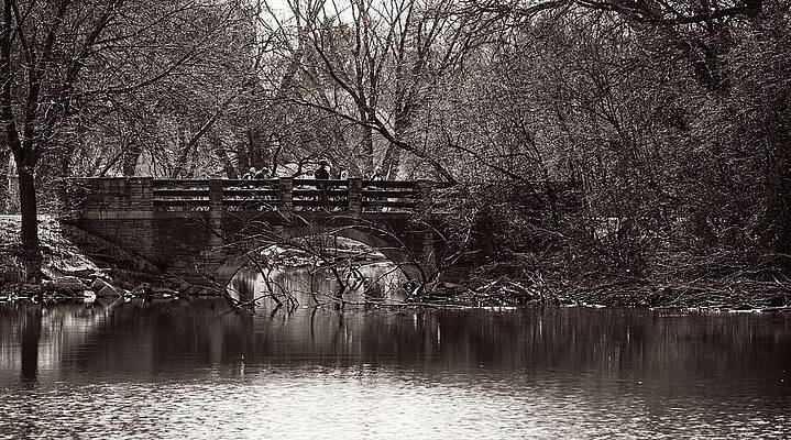 Wall Art featuring the photograph Arboretum Bridge, Madison, Wisconsin by Steven Ralser