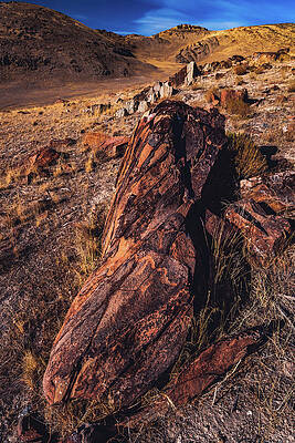 Landscape Photograph - Archaic Petroglyphs, Stansbury Island, Utah by Abbie Warnock