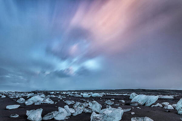 Beautiful Photograph - Arctic Blast by Todd Wilkinson