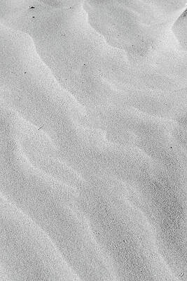 Black And White Photograph - Arise by Gina Cinardo