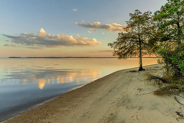 Sunset Photograph - Around The Bend At Sunset by David Fountain