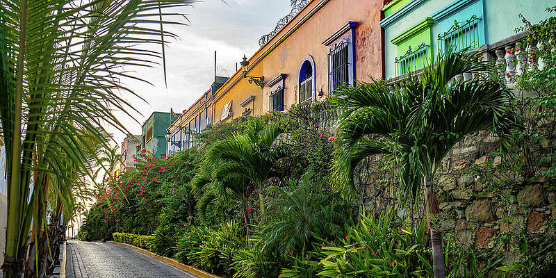 City Wall Art featuring the photograph Around Town Mazatlan Mexico by Tommy Farnsworth