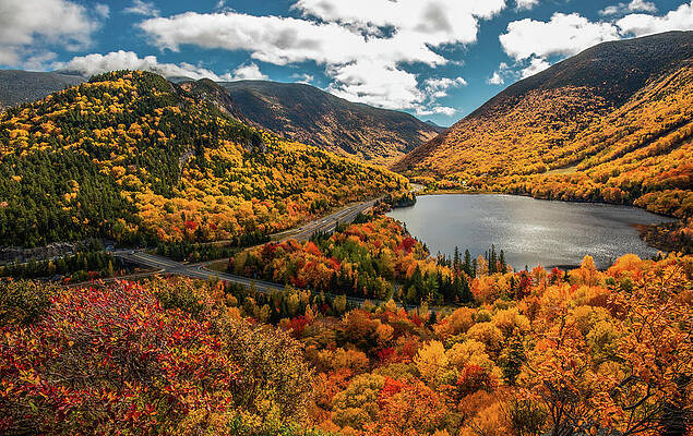 Wall Art featuring the photograph Artist Bluff Trail Franconia Notch In Fall by Dan Sproul