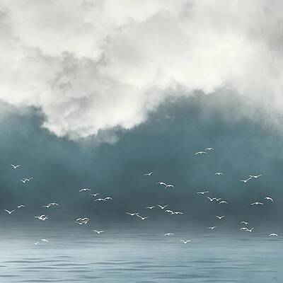 Gulls Rising Over Misty Water Wall Art