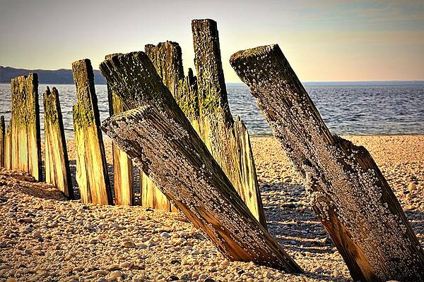 Wall Art featuring the photograph Asharoken3 by John Linnemeyer