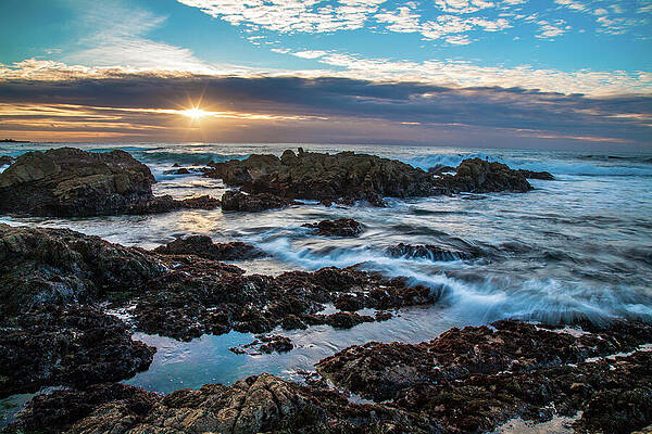 Wall Art featuring the photograph Asilomar Sunset - Asilomar State Beach Pacific Grove California by Mike Lee