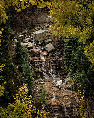 Mountain Photograph - Aspen Frame by Matt Halvorson