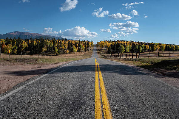 Wall Art featuring the photograph Aspen Highway #2 by Steve Templeton