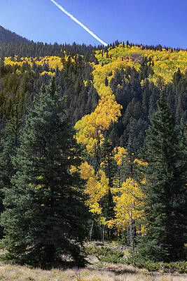 Sky Wall Art featuring the photograph Aspen River by Steve Templeton
