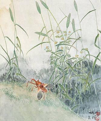 Garden Painting - Assassin Bug by Yan Bingwu and Yang Wenqing