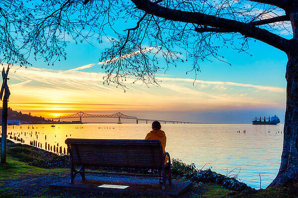Spring Wall Art featuring the photograph Astoria Bridge Oregon At Sunset by Tatiana Travelways